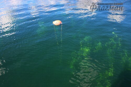 IMG_3662_r